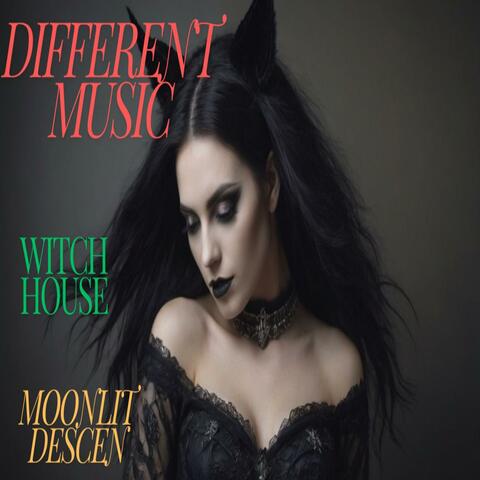 Moonlit Descen