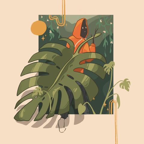Monstera