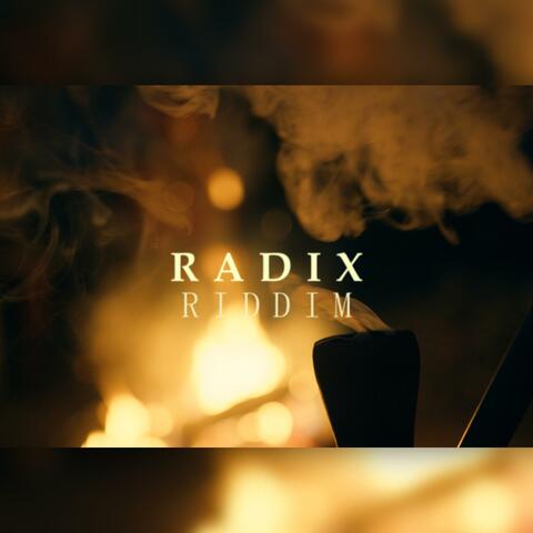 Radix Riddim