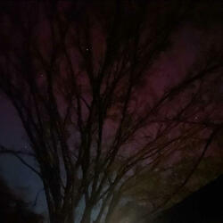 Dusk to Dawn