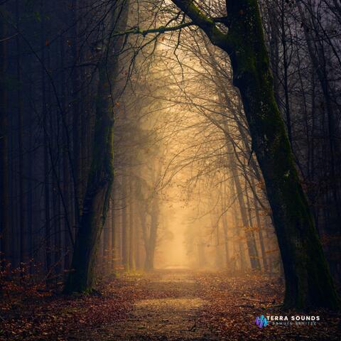 Bosque nocturno