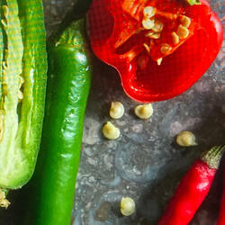 LITTLE BIT OF OH-MY-MY