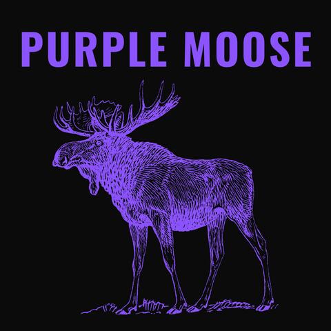 Purple Moose