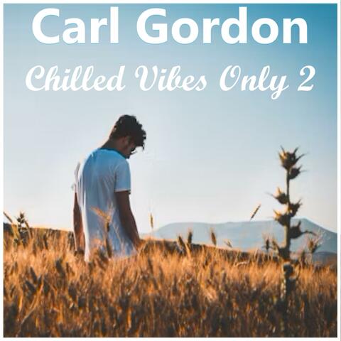 Chilled Vibes Only 2