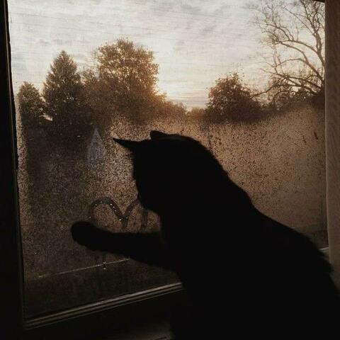 panic