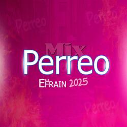 MIX PERREO 2025