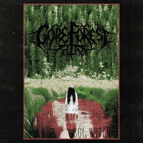 Bog Witch