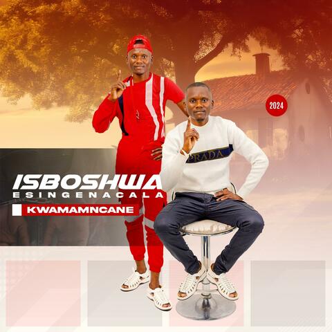 Imali iyashabalala