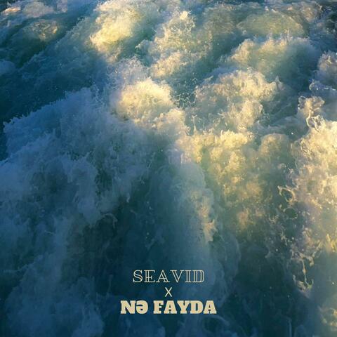 Nə Fayda