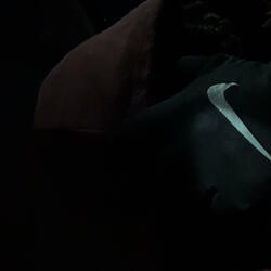 WOODS (feat. 1dtae & 40ERICH)