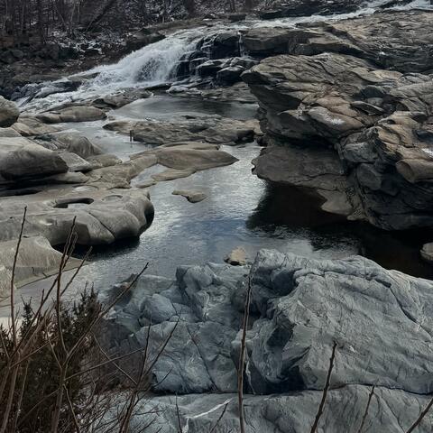 Lazy Day (feat. Thiền Ca Hoa Tuyết Trắng)