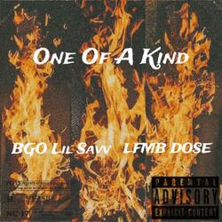 One Of A Kind (feat. LFMB DOSE)