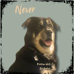 Never