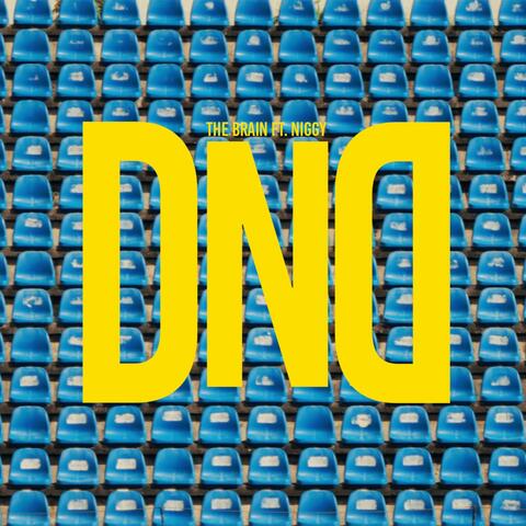 DND (feat. Niggy)