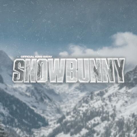 SNOWBUNNY