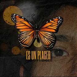Es Un Placer