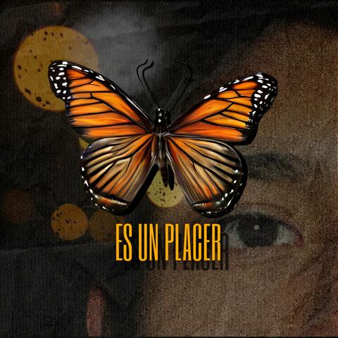 Es Un Placer