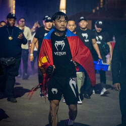 BOSSWOLF (feat. DESANT, YOUNGSUB, ICEMAN & TATAR)