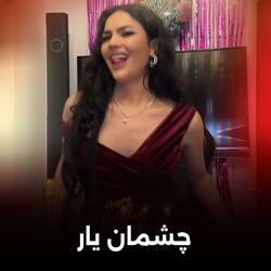 چشمم از چشم یار میترسد‌ | ناله