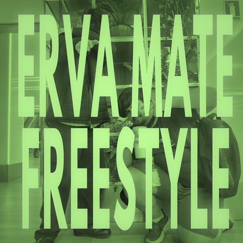 Erva Mate FREESTYLE (feat. Swav.shwtyy)