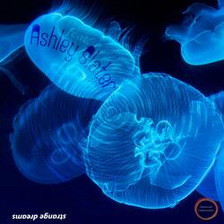 Strange Dreams (feat. Ashley Slater)