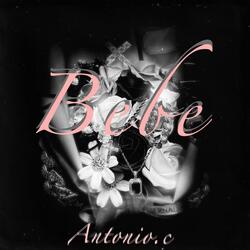 Bebe