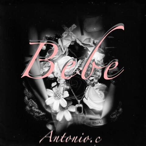Bebe