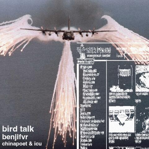 bird talk (feat. benjifvr)