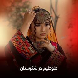 طوطی ام در شکرستان | فلک بدخشیان پامیری