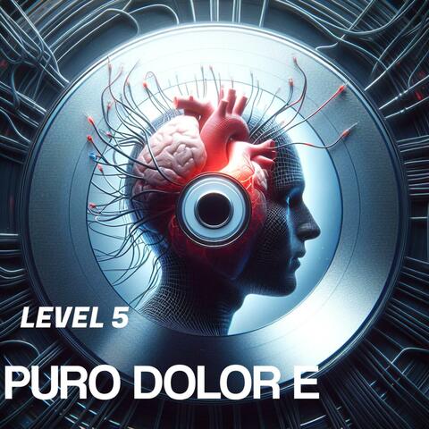 Puro Dolor