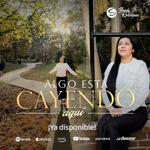 ESTA CAYENDO