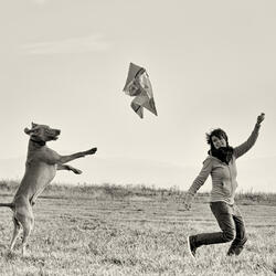 Flying (to you) (feat. Teigan Hincks)