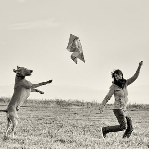 Flying (to you) (feat. Teigan Hincks)