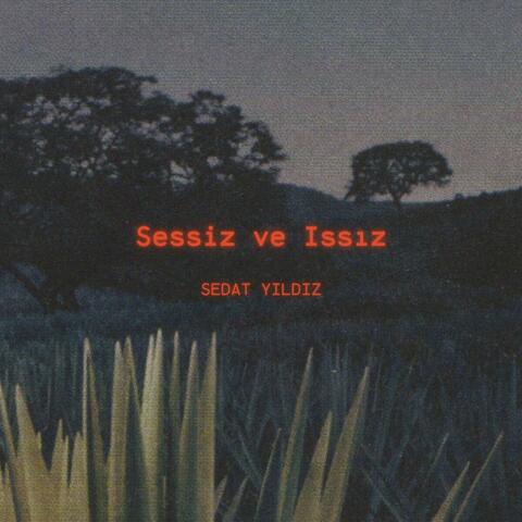 Sessiz ve Issız