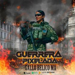 GUERRERA PIXELADA