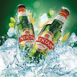 Nektar Pivo (Extended Mix)