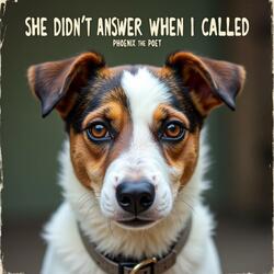 She Didn't Answer When I Called