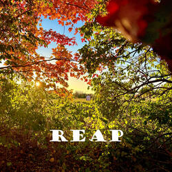 REAP