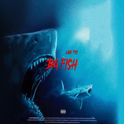 BIG FISH