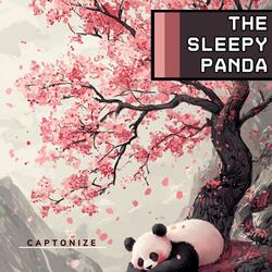 The Sleepy Panda
