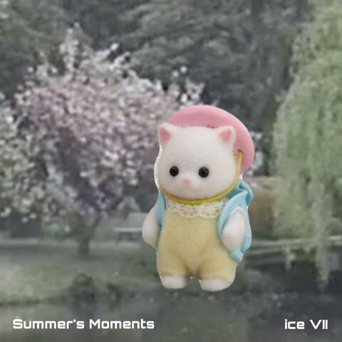 Summer's Moments