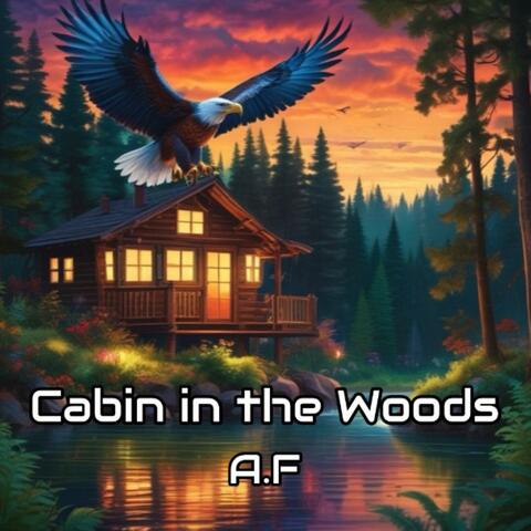 Cabin in the Woods
