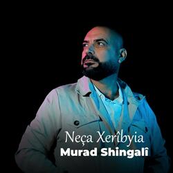 Murad Shingalî (Neça Xerîbyia)