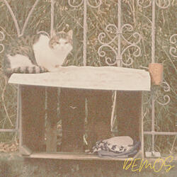 Demo #6
