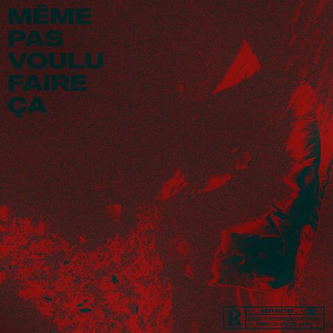 MEME PAS VOULU FAIRE ÇA