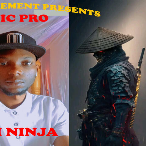 Ndi ninja