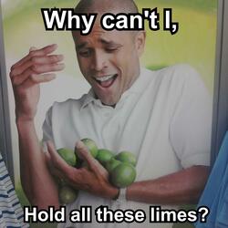 Why can't I, hold all these limes?