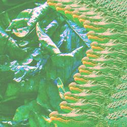 GATORS UNDER THE BED (feat. dom ultra)