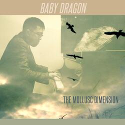 Baby Dragon