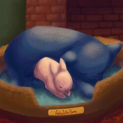 First Night Together